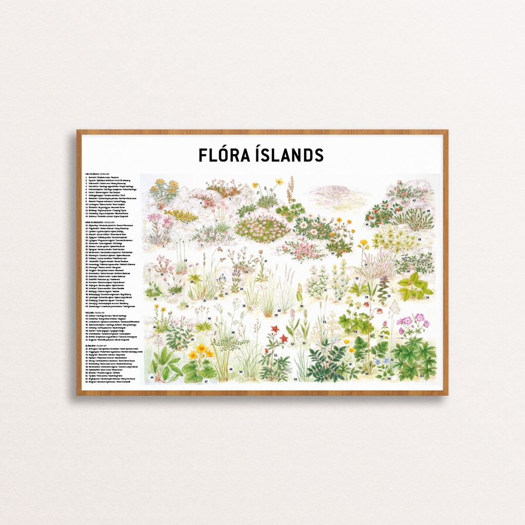 Flóra Íslands - plakat