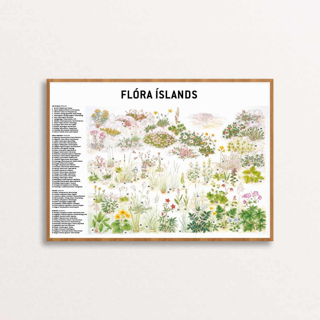 Flóra Íslands - plakat