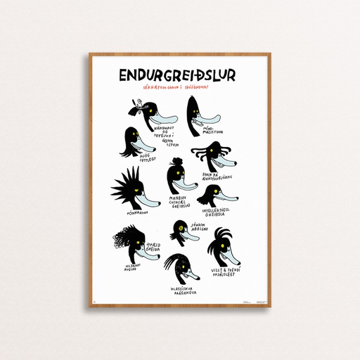 [angustura_fugl3] Endurgreiðslur - plakat A2